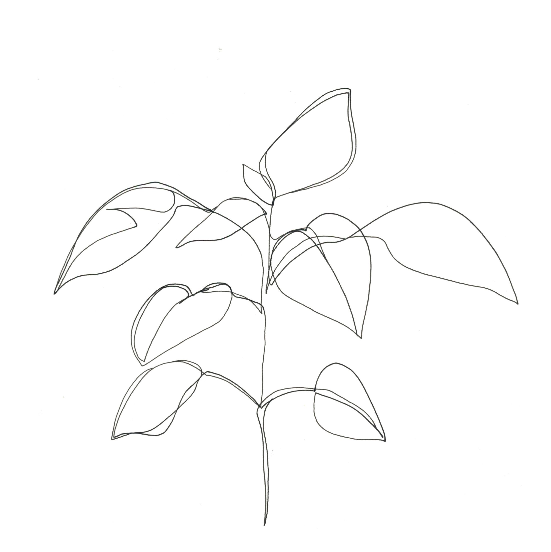 2203x2205 One Line Minimal Artwork