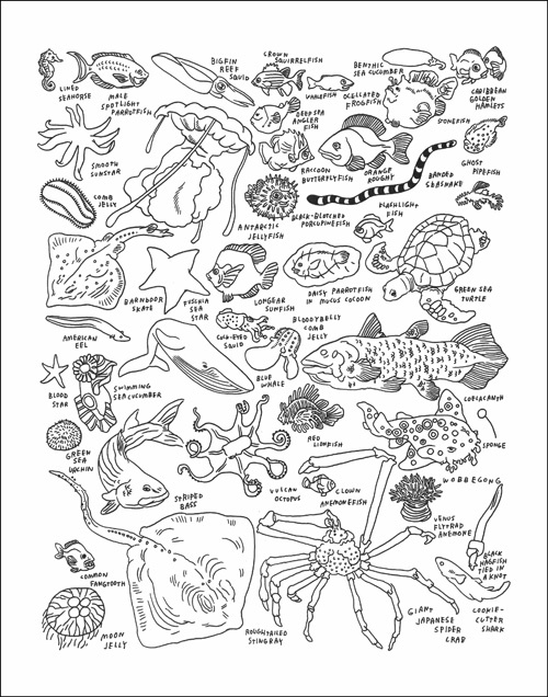 500x636 77 Best Under The Sea Images On Drawings, To Draw