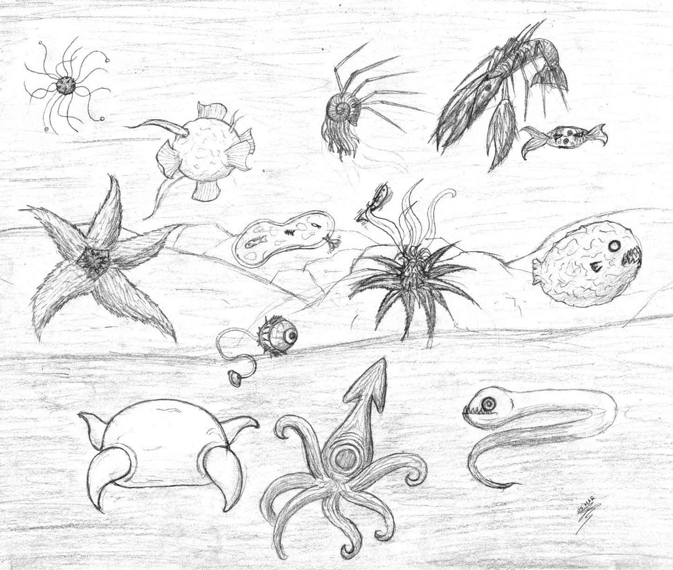 972x823 Under The Sea By Jdan S