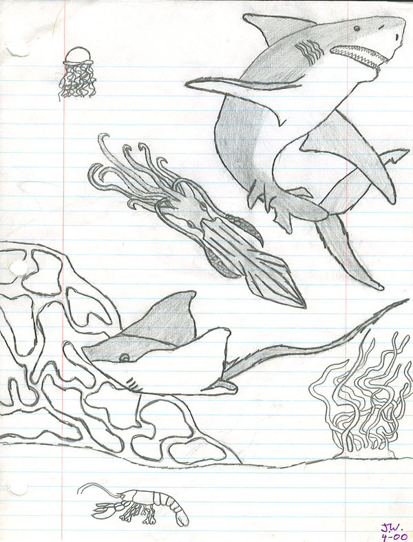 600x787 Under The Sea By O0obeeotcho0o