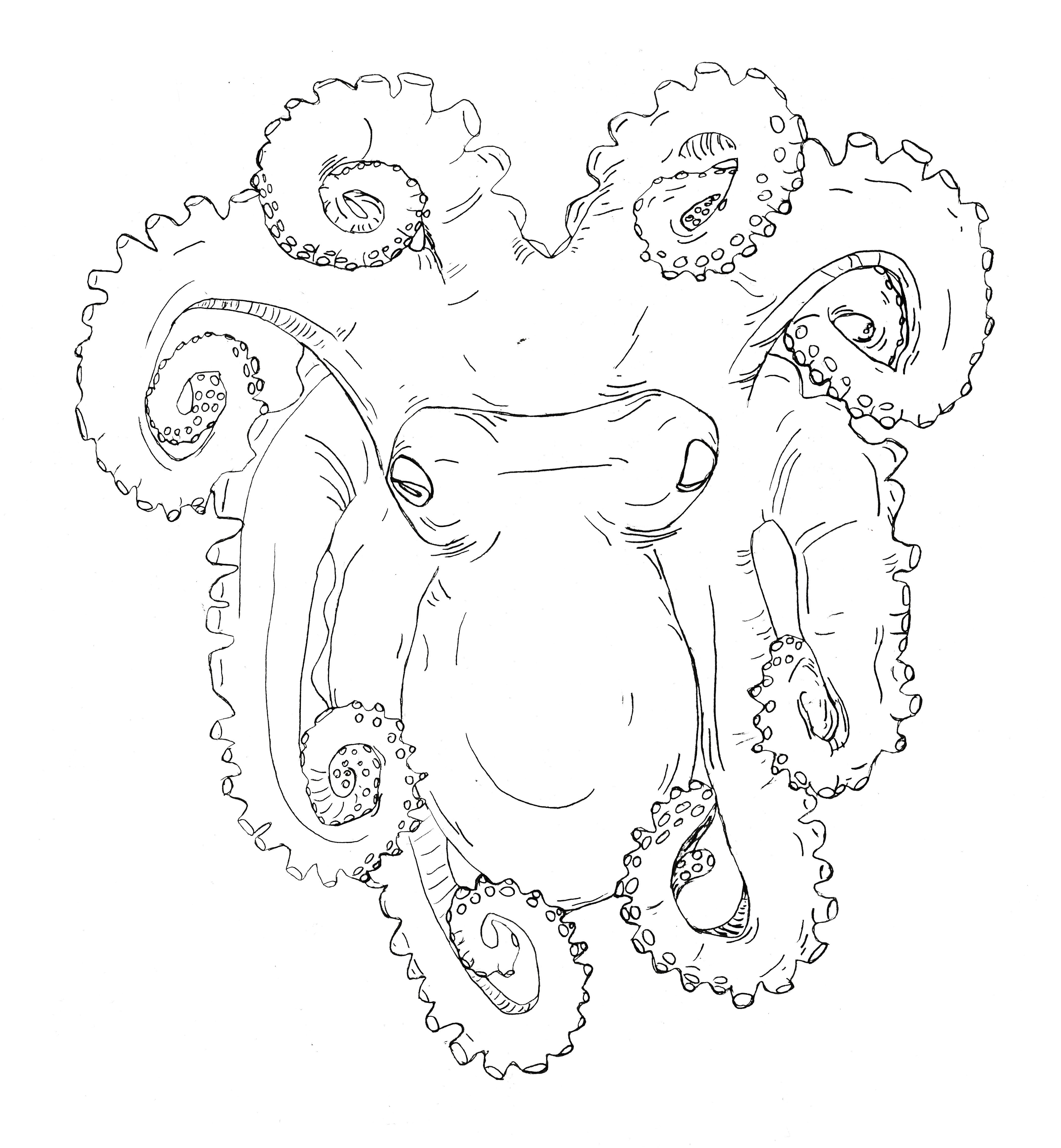 4200x4546 Under The Sea Sarah Boxall