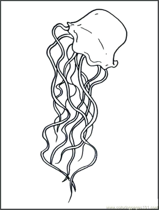 650x860 Sea Anemone Coloring Page Joandco.co