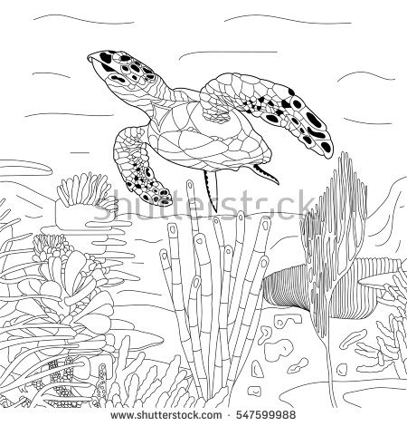 450x470 Drawn Sea Turtle Under Sea