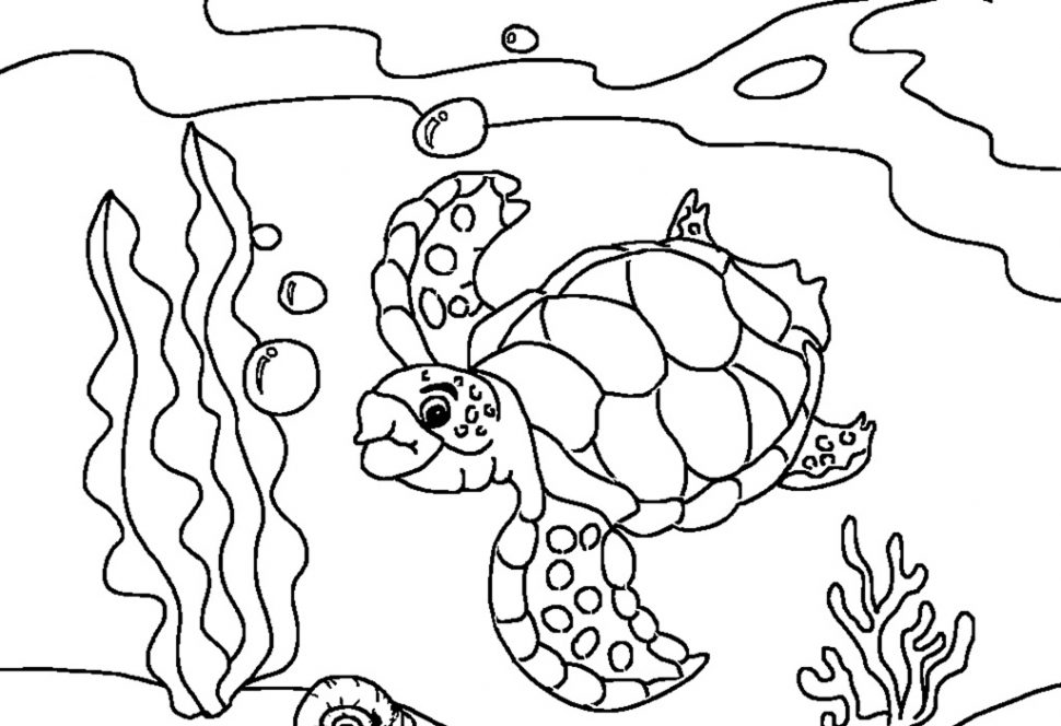 970x664 Coloring Pages Coloring Pages Draw A Turtle Sea For Kids