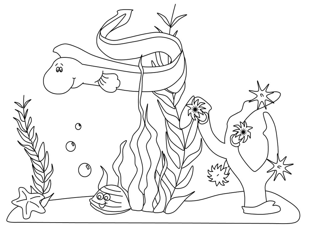 1024x768 Sea Animal Coloring Pages
