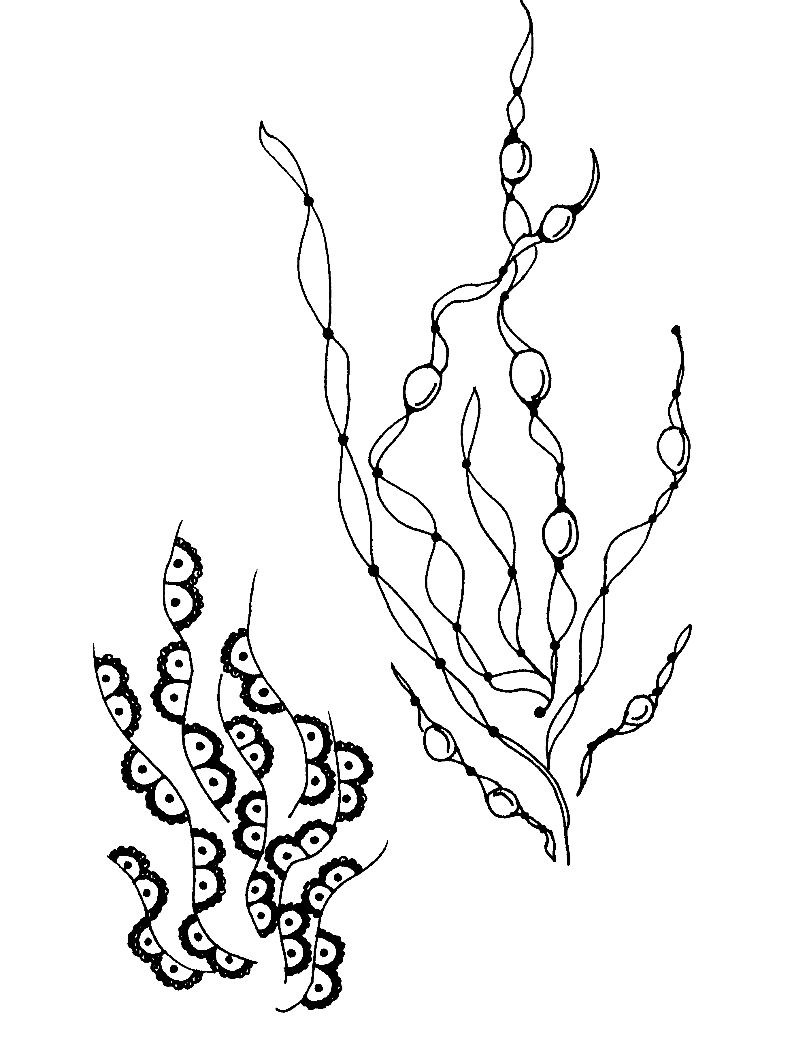 2748x3664 Ocean Gina Pennick