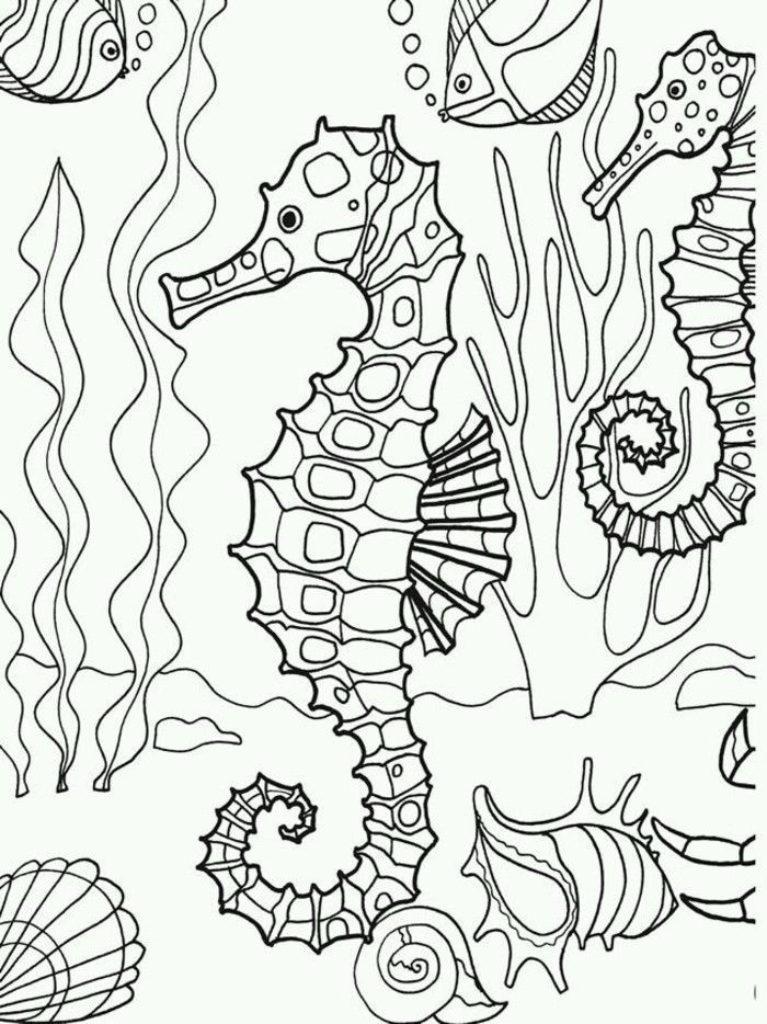 700x934 Underwater Seahorse Coloring Page Adultcp Beachy Adult 18546