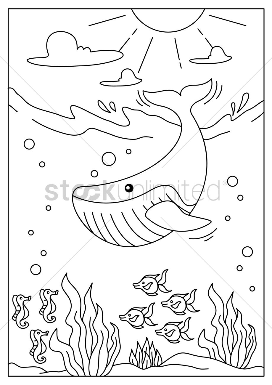 919x1300 Whale Underwater Vector Image