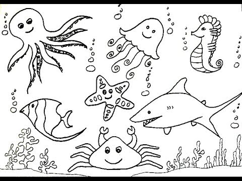 480x360 How To Draw Sea Creatures (Animals)
