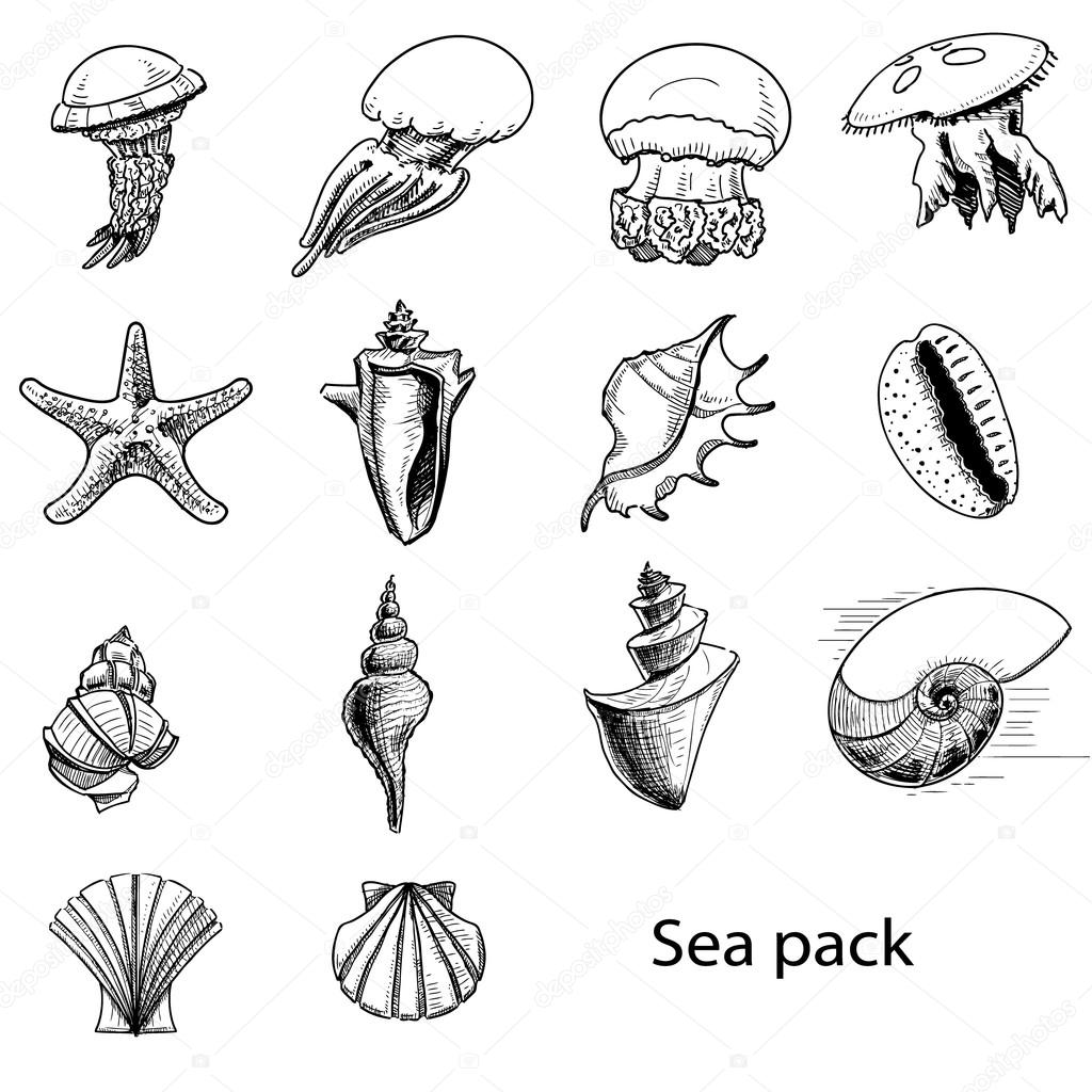 1024x1024 Collection Of Sea Animals. Hand Drawing Sketch Vector Illustration