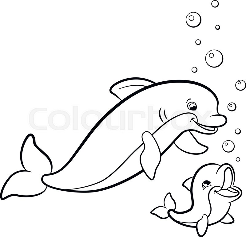 800x772 Coloring Pages. Marine Wild Animals. Mother Dolphin Swims With Her