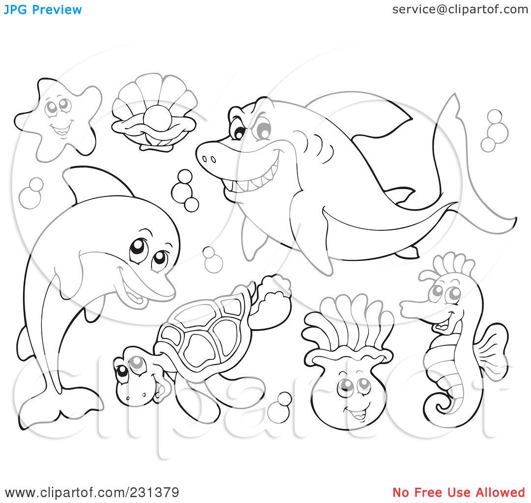 1080x1024 Free Coloring Pages Of Underwater Animals