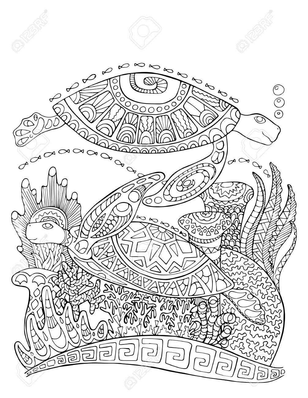 1006x1300 Sea Turtle Doodle Style Coloring Page. Underwater Vector