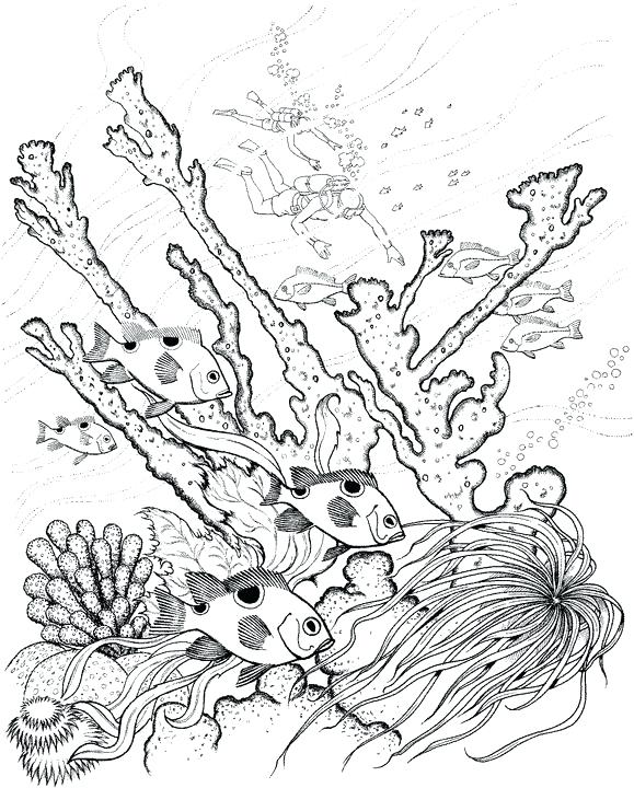 579x720 Underwater Coloring Pages Full Size Of Coloring Drawing Ocean