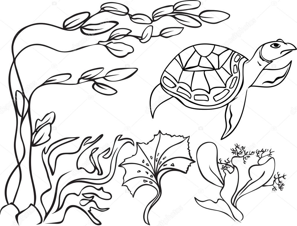1023x778 Sketch Turtle In Underwater World Stock Vector Kristino0702