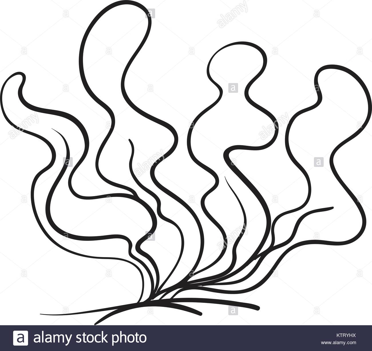 1300x1226 Underwater Plant Black And White Stock Photos Amp Images