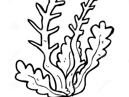 440x330 Cartoon Of A Green Seaweed Or Aquatic Plant Royalty Free Vector