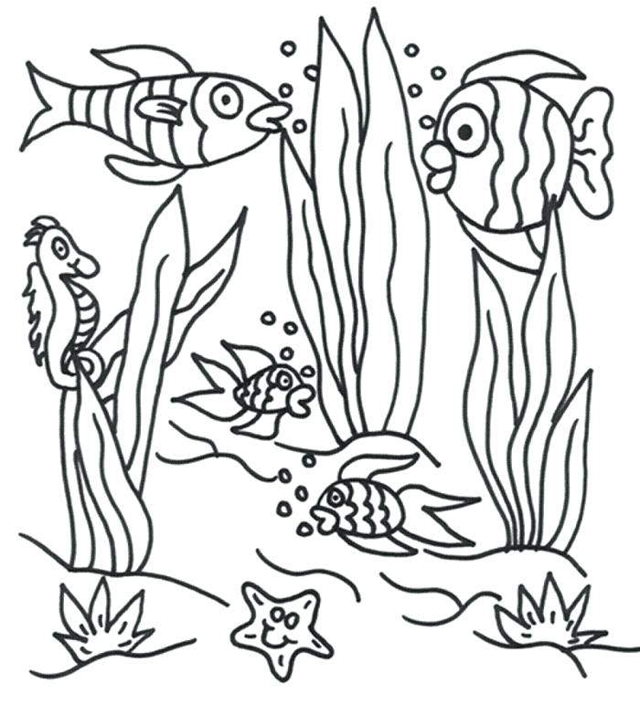 700x771 Ocean Scene Coloring Page Excellent Underwater Scene Coloring