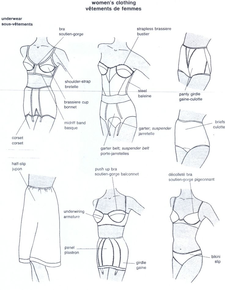 Underwear Drawing at GetDrawings | Free download