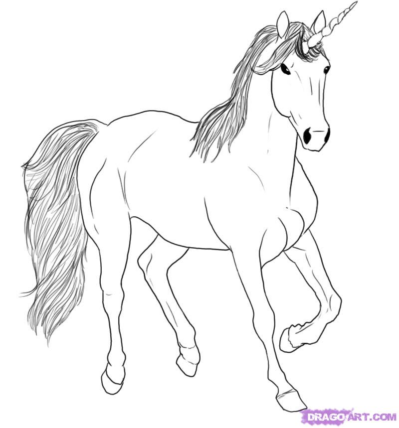 800x859 How To Draw A Sky Unicorn Step 5 Unicorns Unicorns
