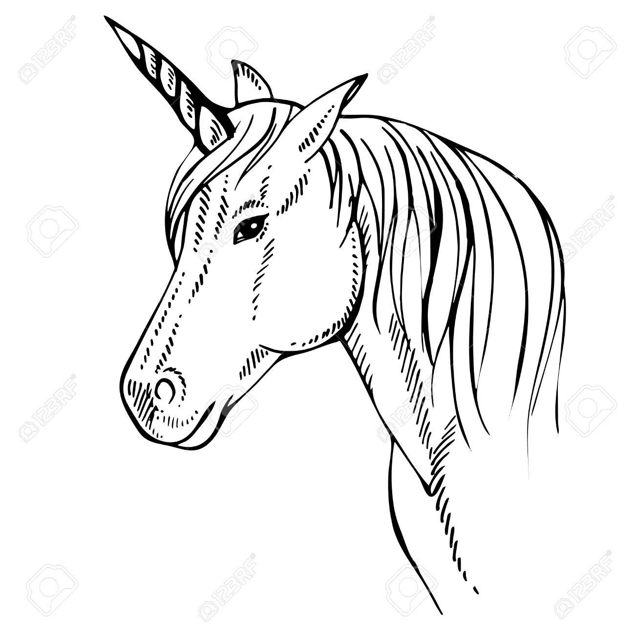 1300x1300 Sketch Unicorn, Hand Drawn Ink Illustration.unicorn Horse Animal