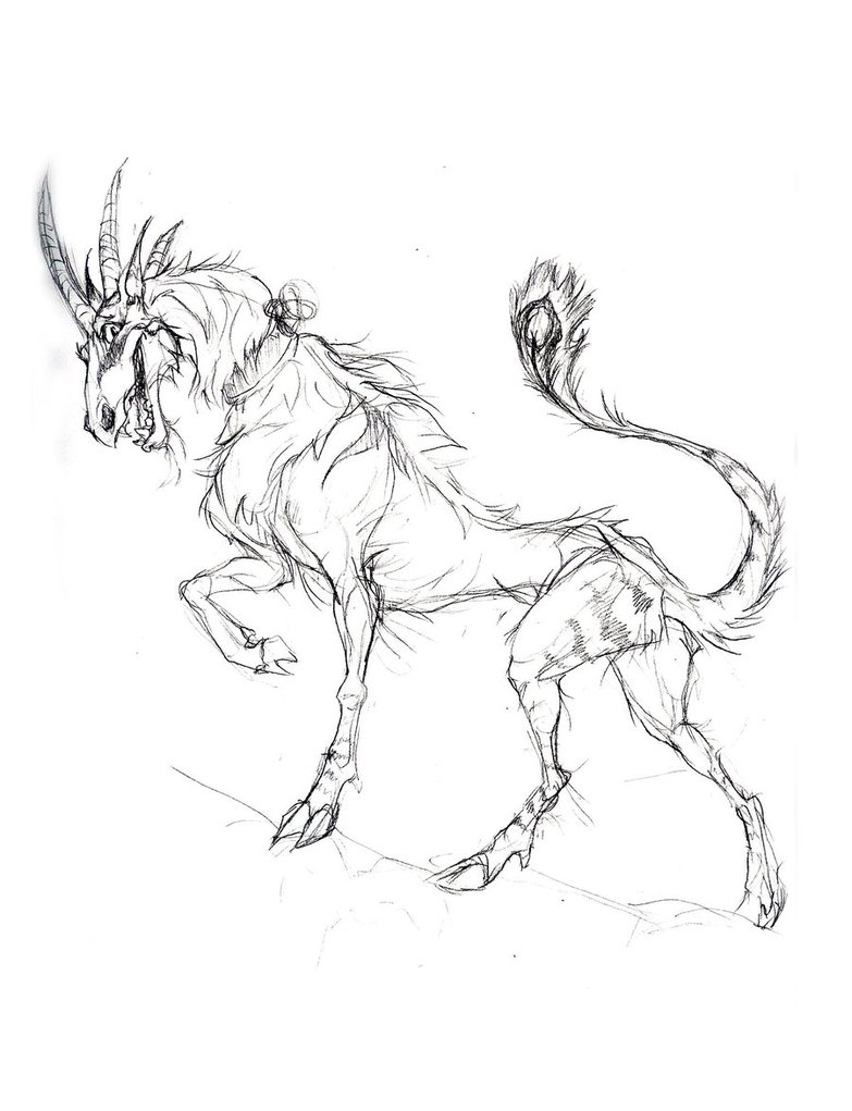 783x1021 Unicorn Sketch By Chalicothere