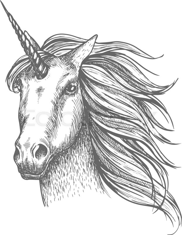 621x800 Unicorn Head Sketch. Mythical Horse, Heraldic Equine Head