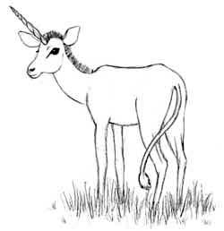 250x258 How To Draw A Unicorn Draw Fluffy