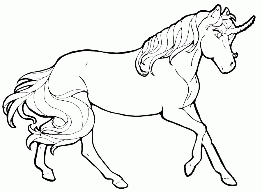 900x663 Unicorn Line Drawing 290247