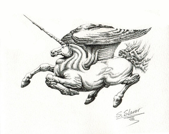 570x453 Original Pencil Drawing. Pegacorn Year Of The Horse By Luckyart999