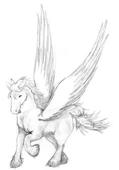 236x337 Pencil Drawings Of Animals. I'Ll Draw Anything You Want! Wild