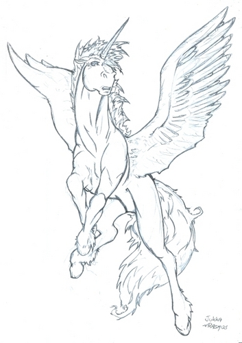 353x500 Unicorns Images Winged Unicorn Wallpaper And Background Photos