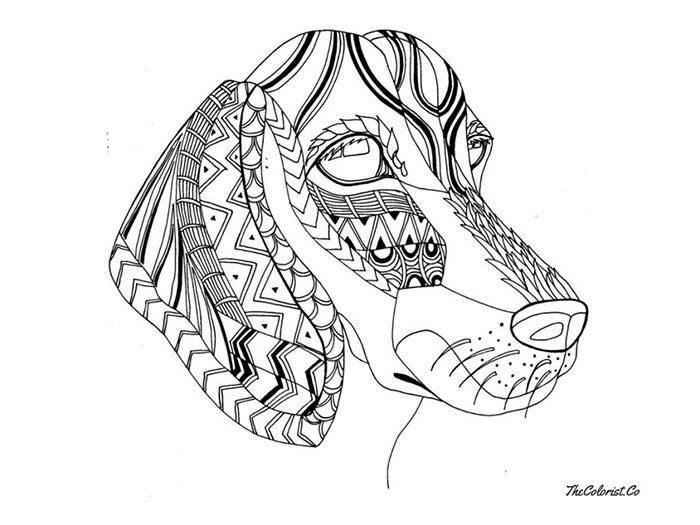 700x525 The Top 10 Best Blogs On Line Drawing