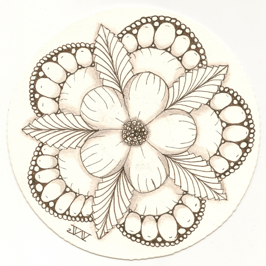 1021x1024 Unique Flowers Drawings Images About Flowers