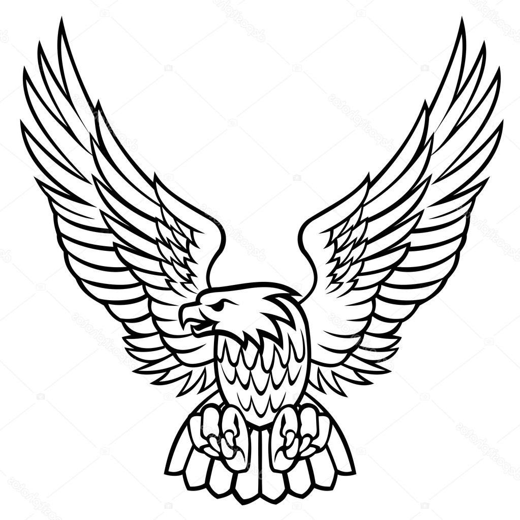 1023x1022 Unique Stock Illustration Eagle Drawing