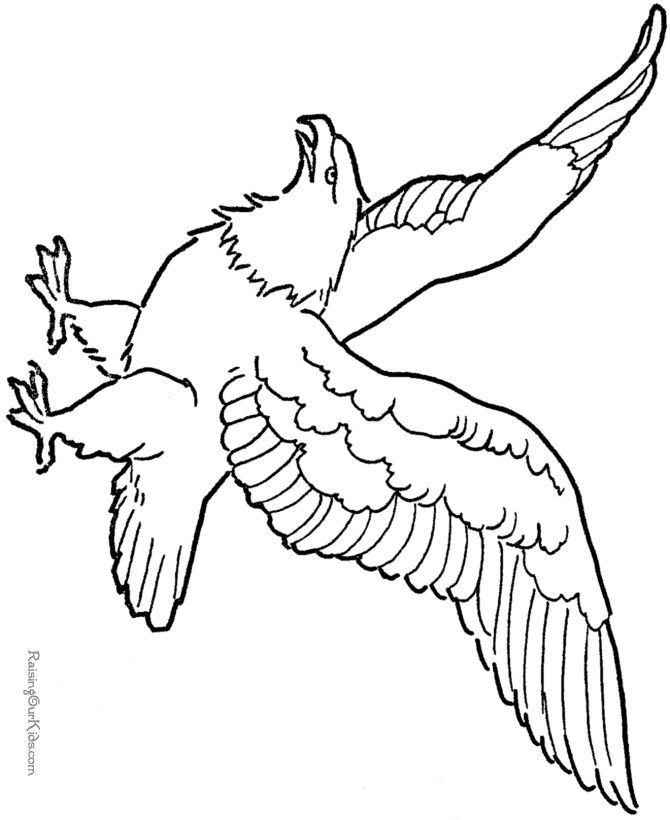 670x820 Soaring Eagle Drawing And Coloring Page Embroidery Patterns
