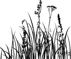 246x205 62 Best How To Draw Realistic Trees, Plants, Bushes And Rocks