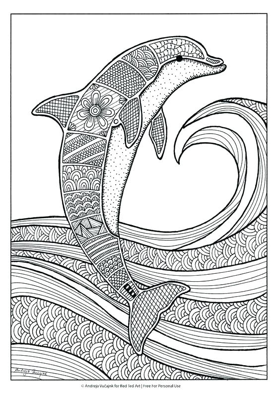 564x797 Best Of Dolphin Coloring Pages Images Dolphin Coloring Pages Free