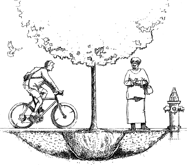 600x529 Aces Publications Street Trees Site Selection, Planting,