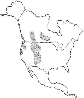 346x400 Easy Usa Map Cartoon Sketches. Easy Disney Cartoons, Disney