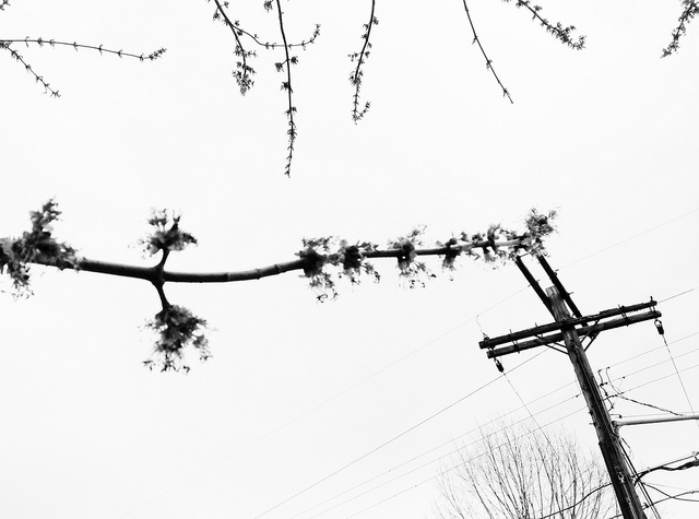 640x475 Anyone Know Where I Can Get A Cheapfree Utility Pole Popville