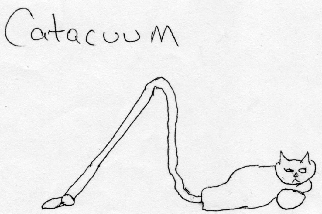 1060x705 Catacuum What's In Bill's Head