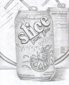 283x347 Slice1.jpg
