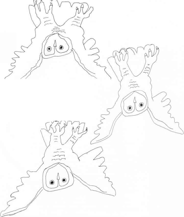 721x853 Recording Shapes Upside Down