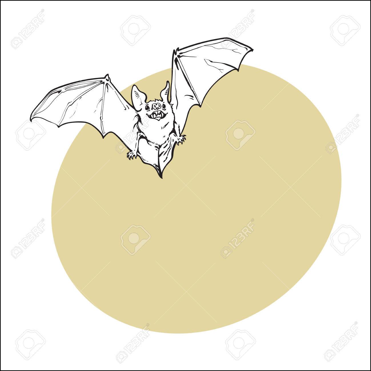 1299x1300 Scary Flying Halloween Vampire Bat, Sketch Style Vector