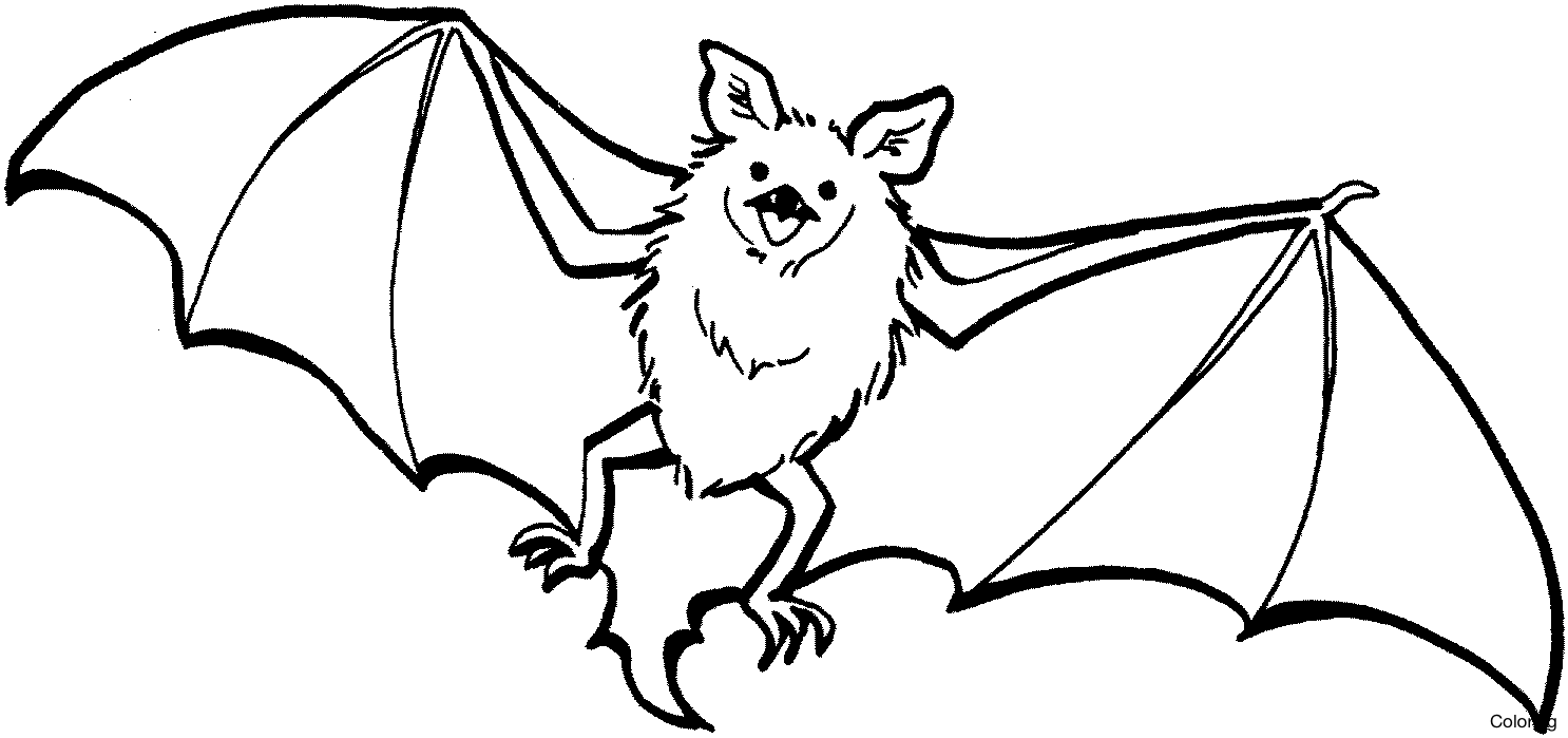 1486x699 Small Cute Baby Cartoon Vampire Bat Coloring Page Pages 3f