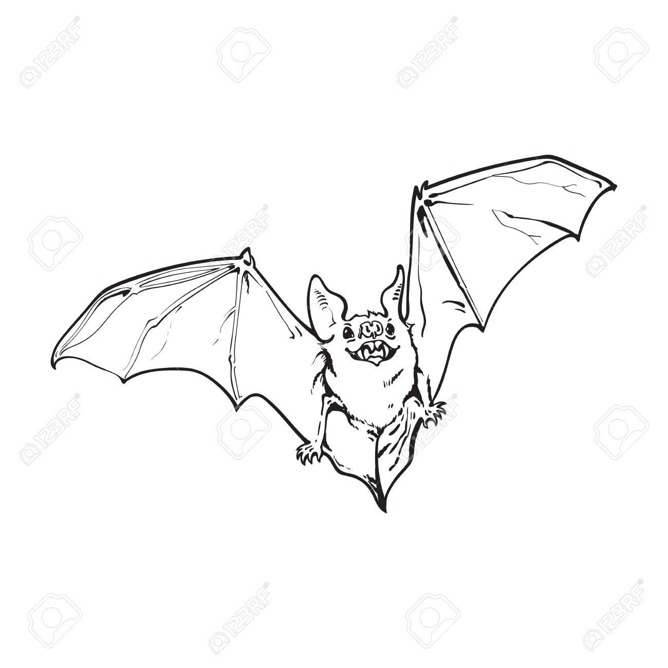 1300x1300 Black And White Flying Halloween Vampire Bat, Sketch Style Vector