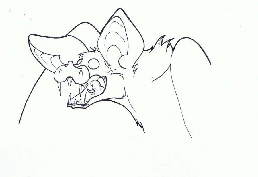900x616 Vampire Bat Sketch By Clockworkmonster