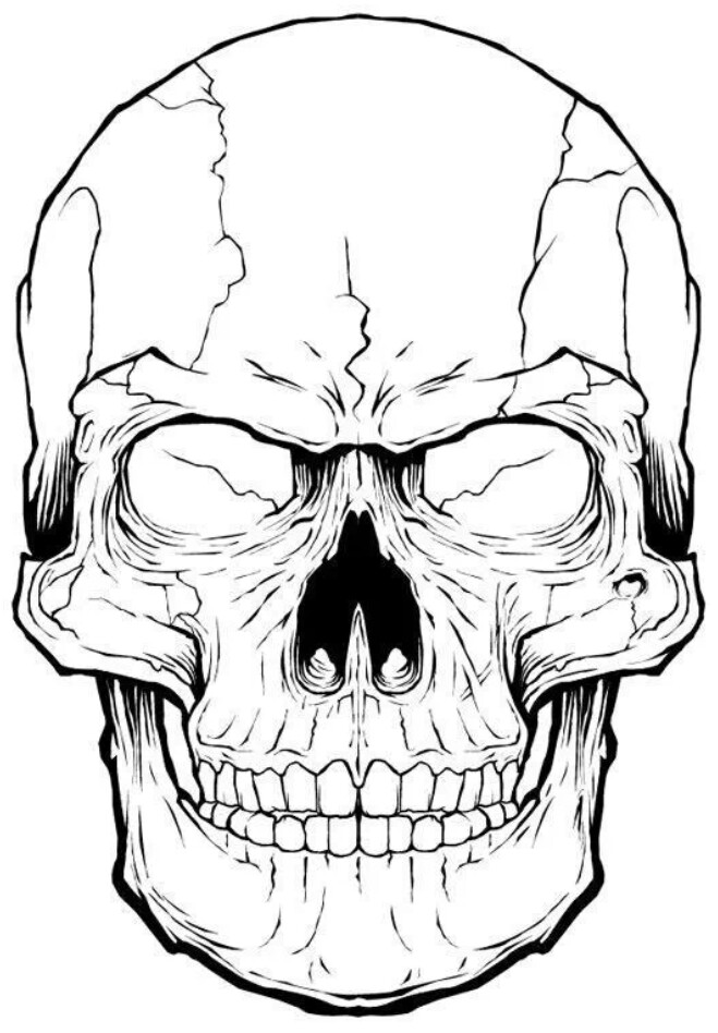 659x948 Pin By Mike James On Everything Skull Tattoo