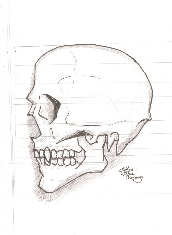 659x900 Vampire Skull Drawing By Jeffrey Oleniacz